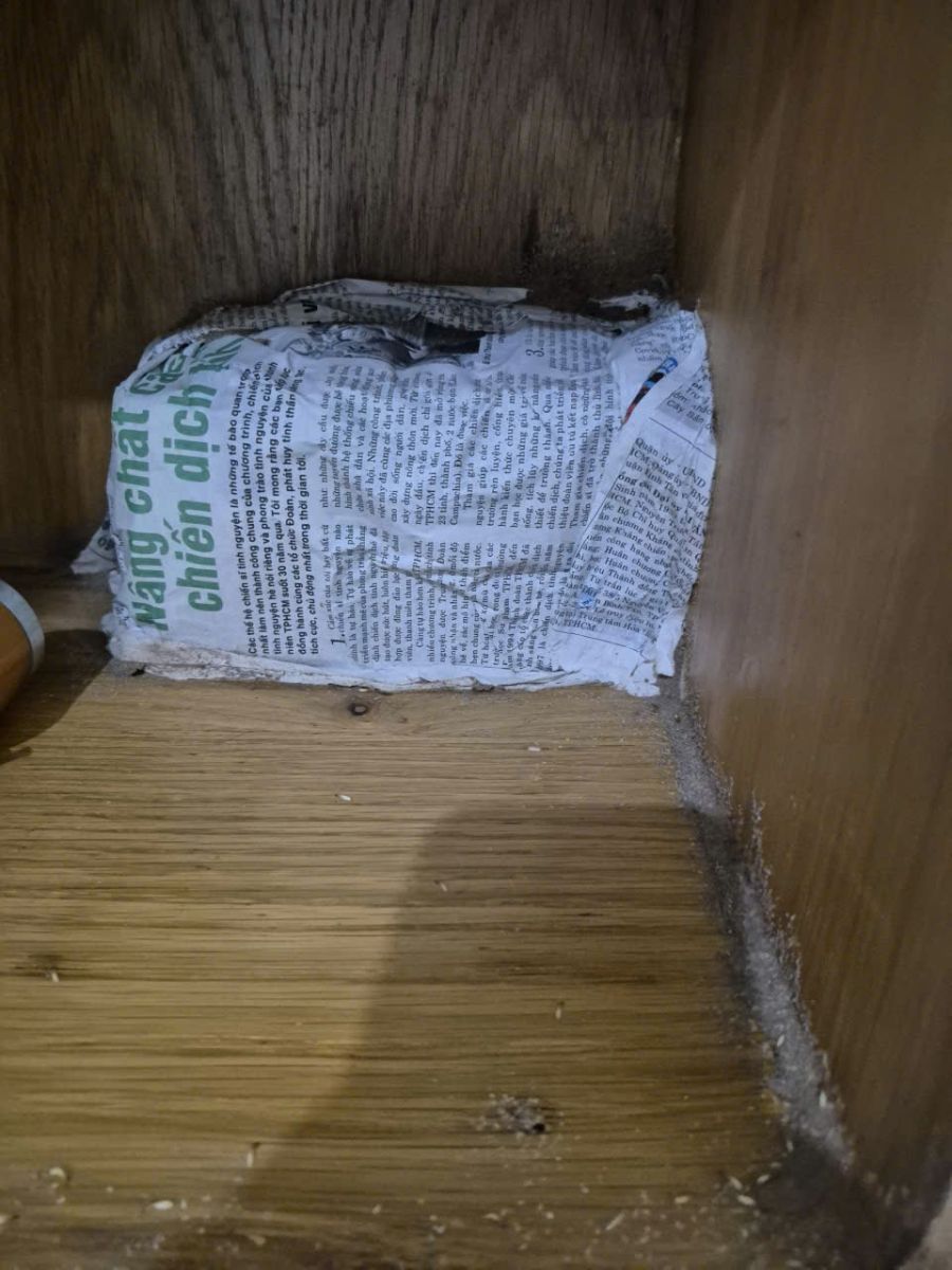 Diệt mối tại Tây Ninh áp dụng phương pháp diệt mối bằng công nghệ hiện đại không độc hại