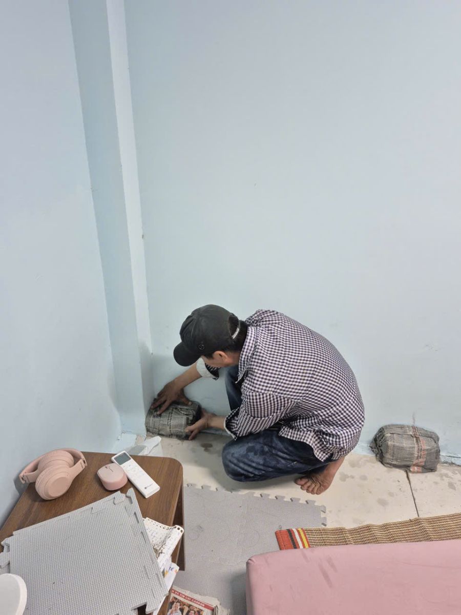 Dịch vụ diệt mối Châu Thành Tây Ninh uy tín – Cam kết hết mối 100%