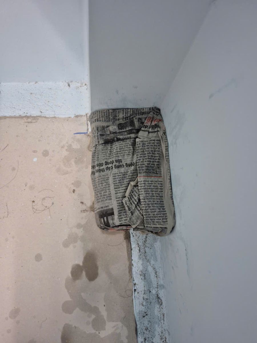 Minh Hiền áp dụng quy trình diệt mối tiên tiến kết hợp công nghệ sinh học hiện đại