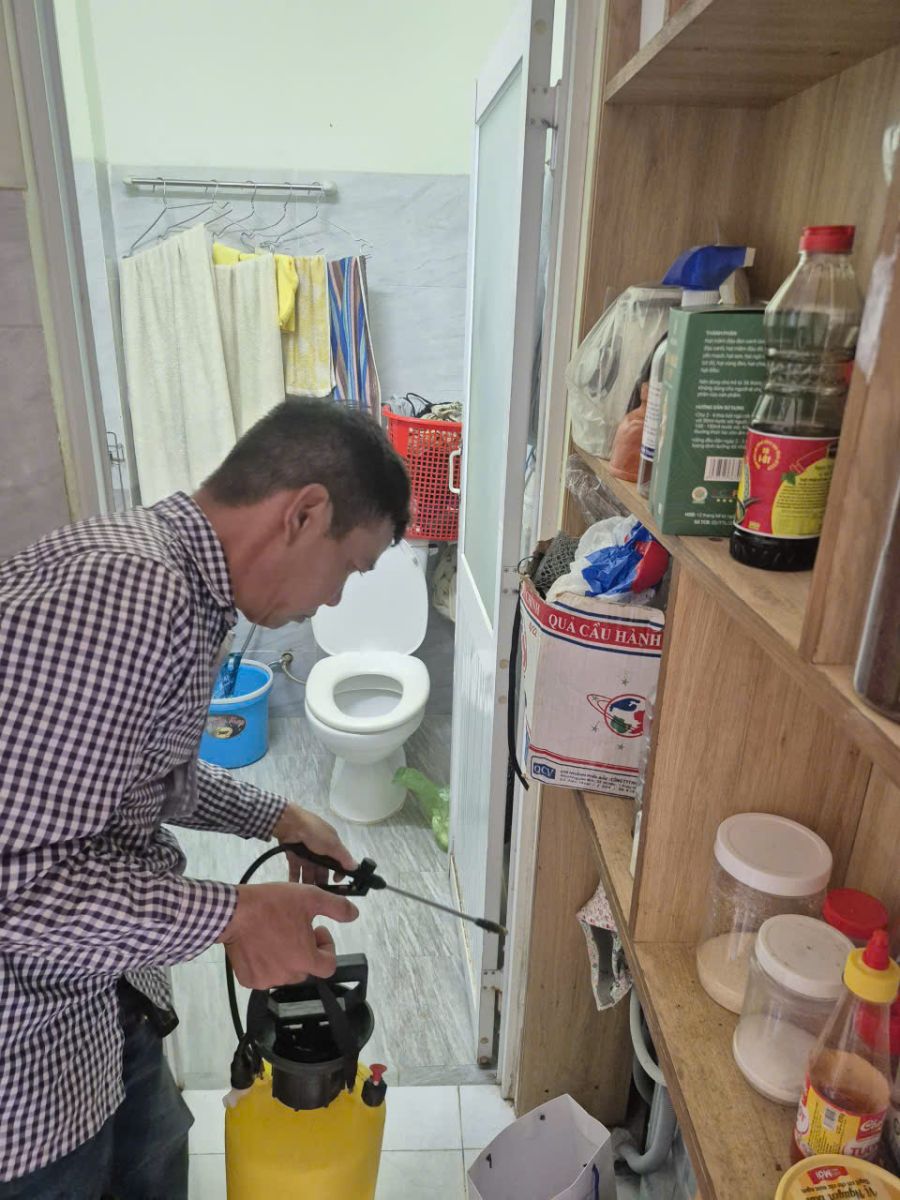 Minh Hiền cung cấp dịch vụ diệt mối tại nhà Quận 12 giá tốt, chuyên nghiệp