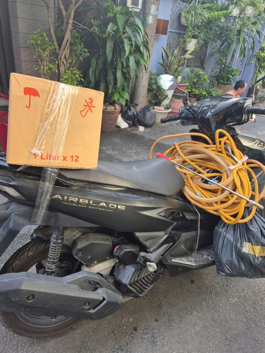 diệt mối uy tín tân bình