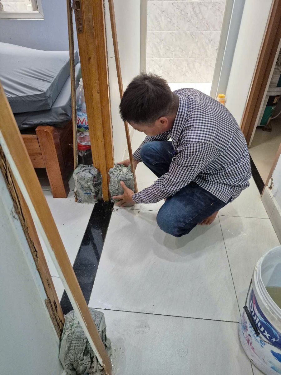 Dịch vụ diệt mối tại Vũng Tàu