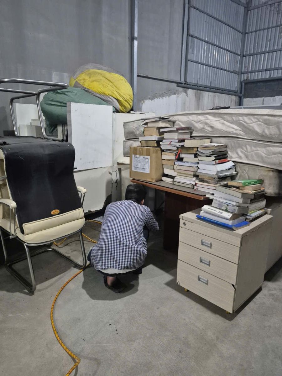 Để xử lý mối tận gốc hiệu quả, việc nhận biết sớm các dấu hiệu xâm nhập là rất quan trọng