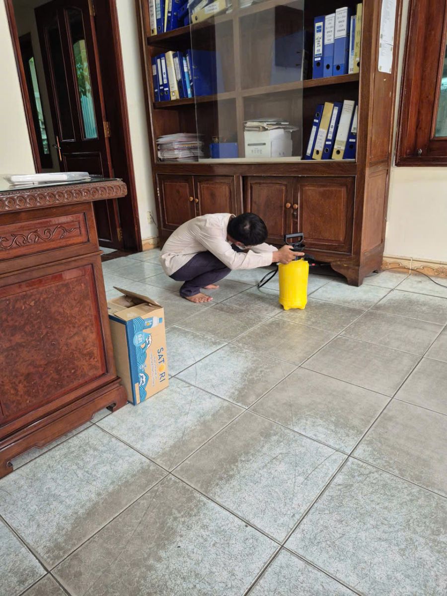 Diệt mối tại nhà Quận 3: An toàn, nhanh chóng, không để lại mối mọt