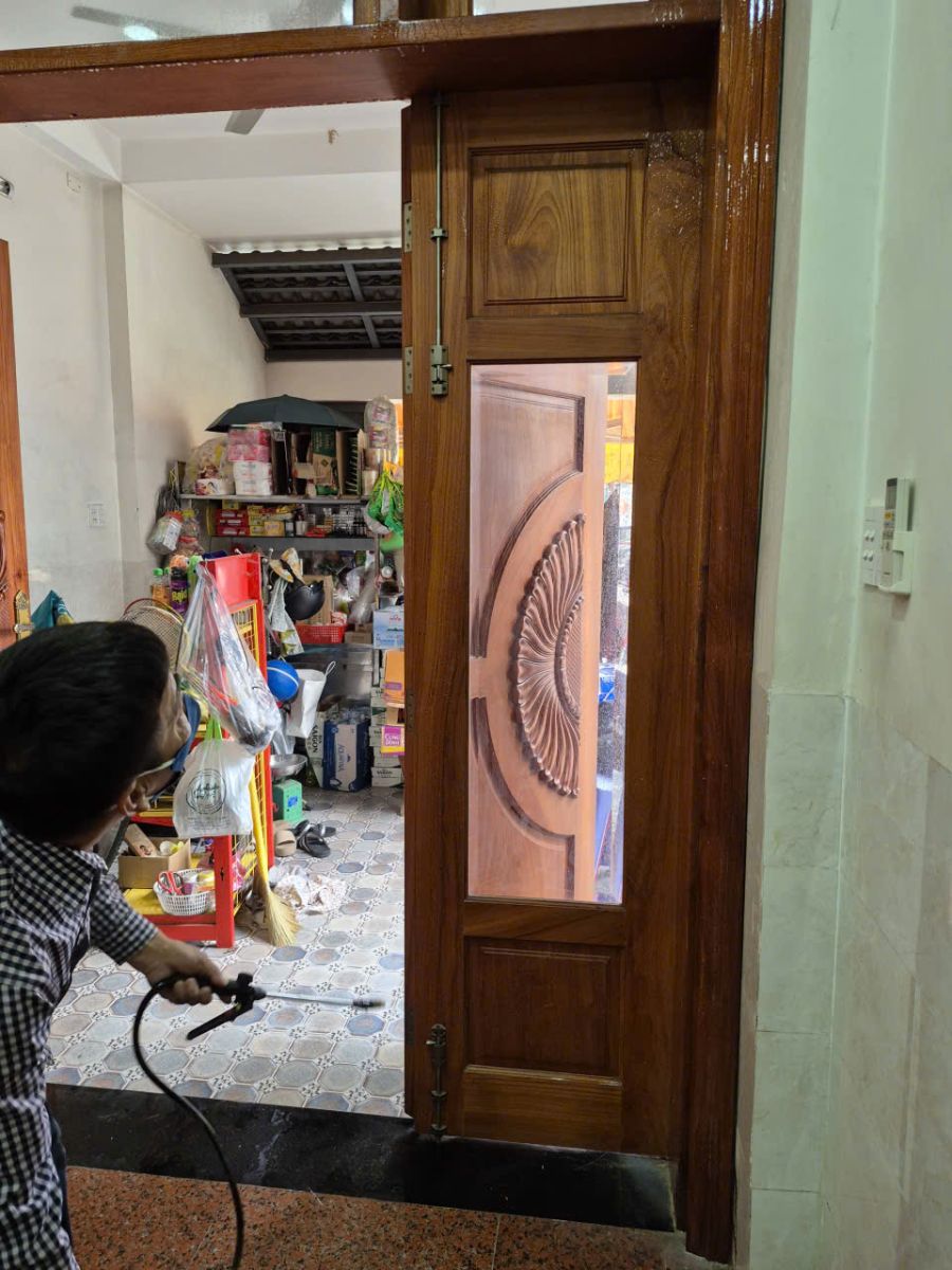 Công ty diệt mối tại nhà Quận 4 giá rẻ, chuyên nghiệp