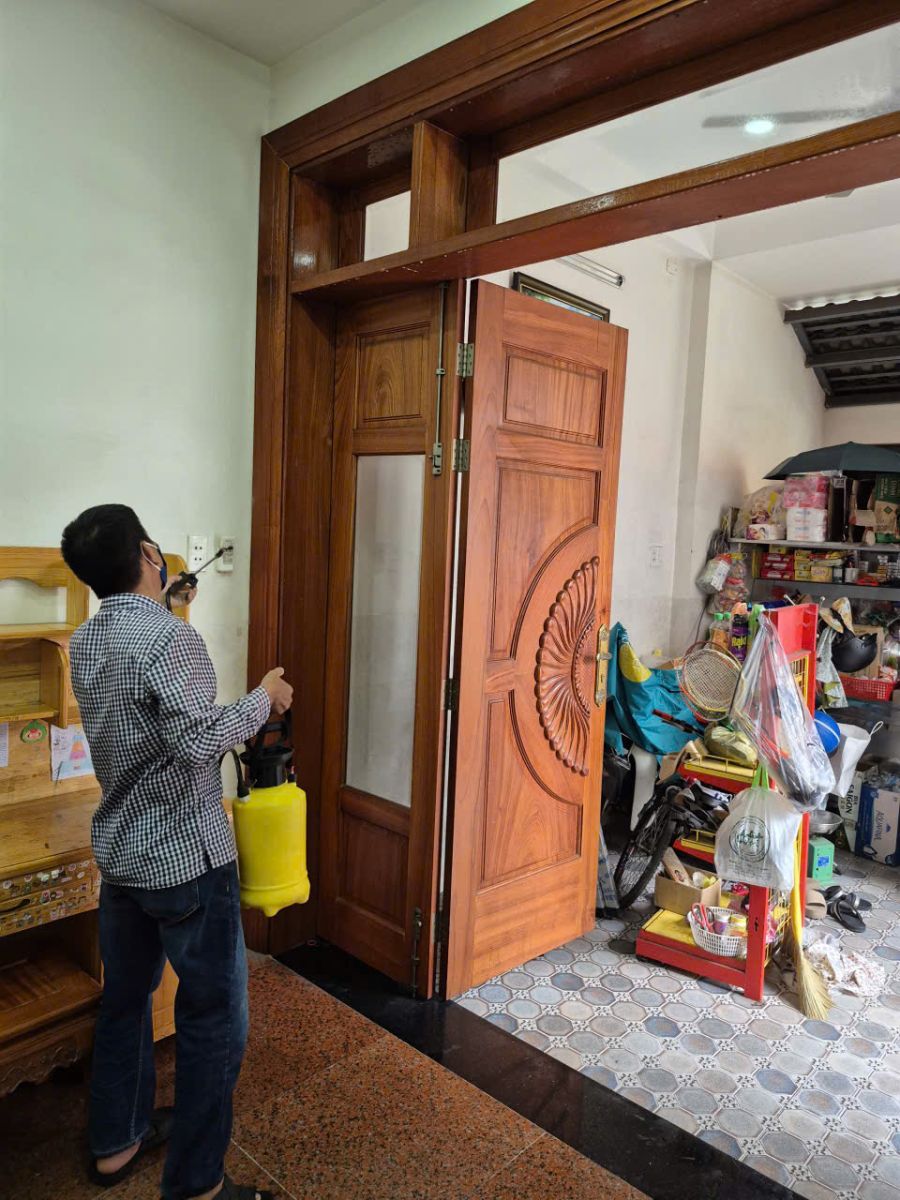 Diệt mối tại nhà Quận 4 hiệu quả, an toàn