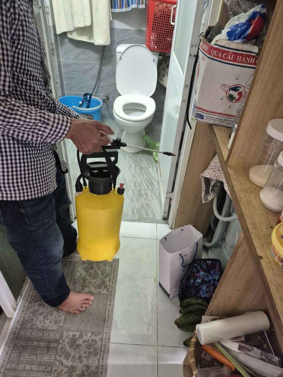 Phương pháp diệt mối an toàn tại nhà