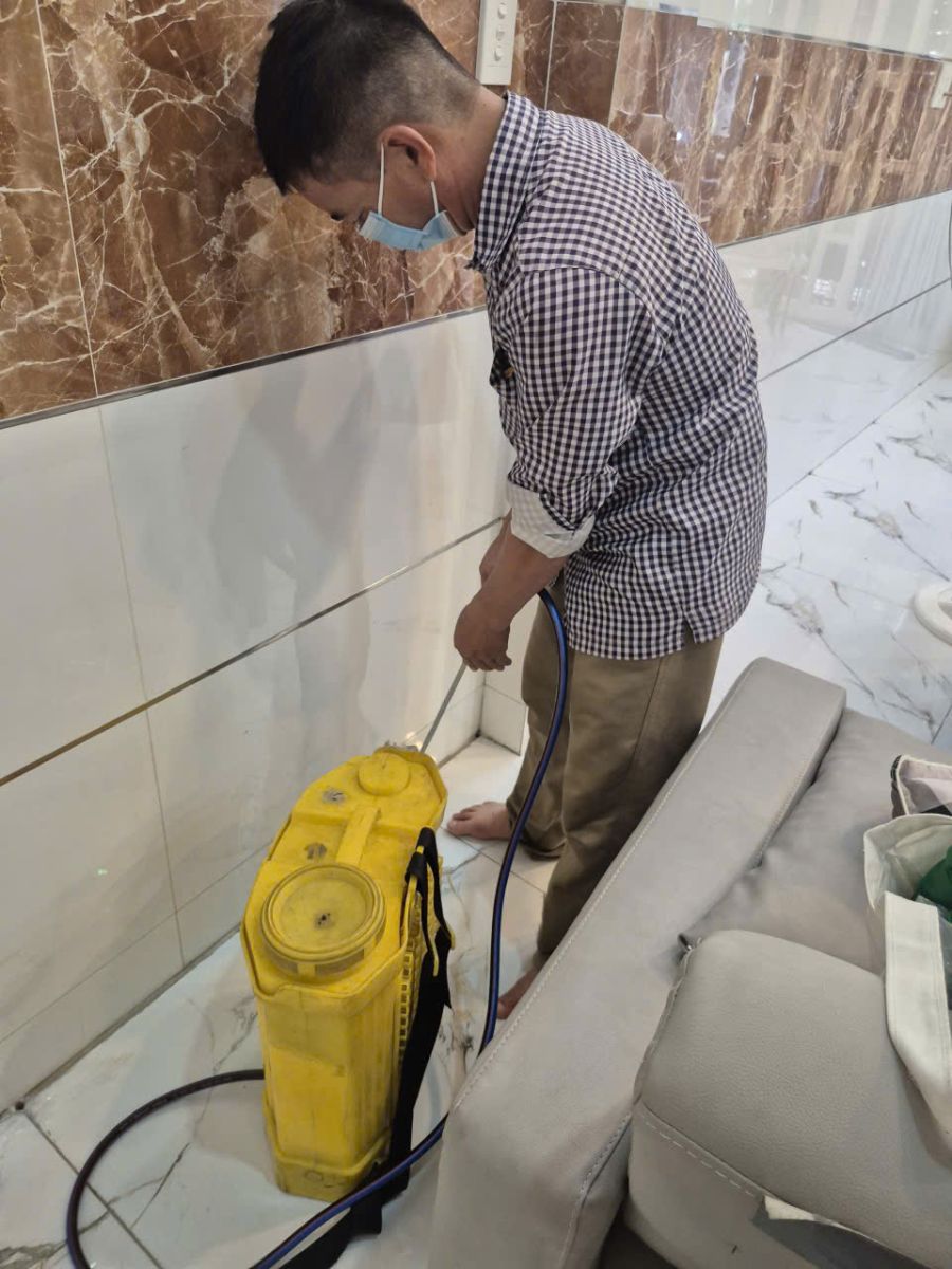 Diệt mối tại nhà Quận 8 của Minh Hiền chấm dứt nỗi lo bị mỗi phá hoại tài sản