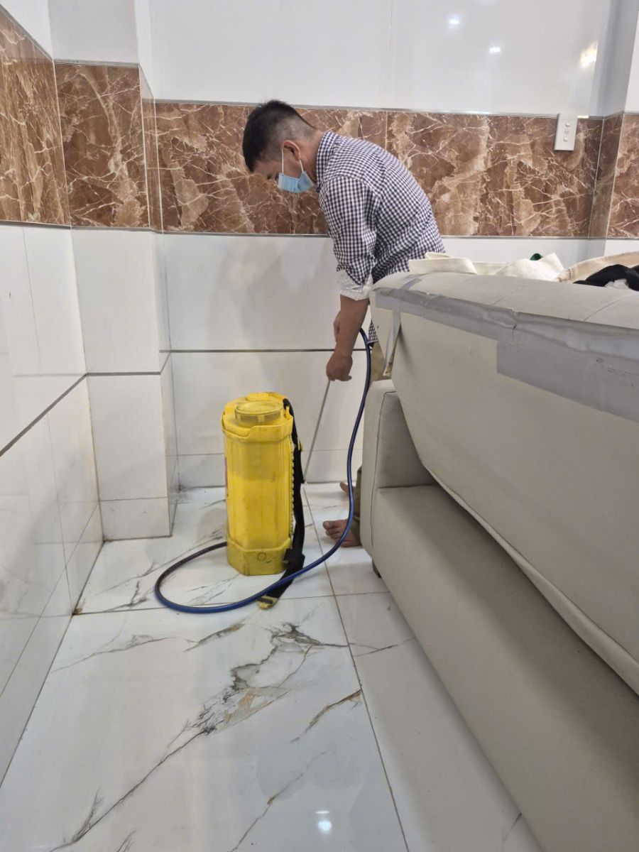 Diệt mối tại nhà Quận 8 triệt để – Chấm dứt nỗi lo mối mọt