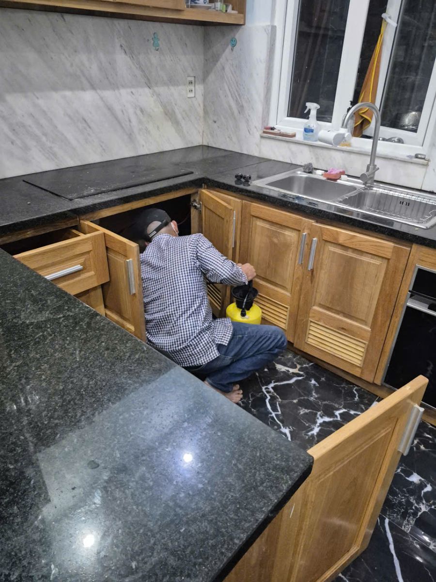 Dịch vụ diệt mối tại nhà Quận 10 của Minh Hiền đảm bảo uy tín