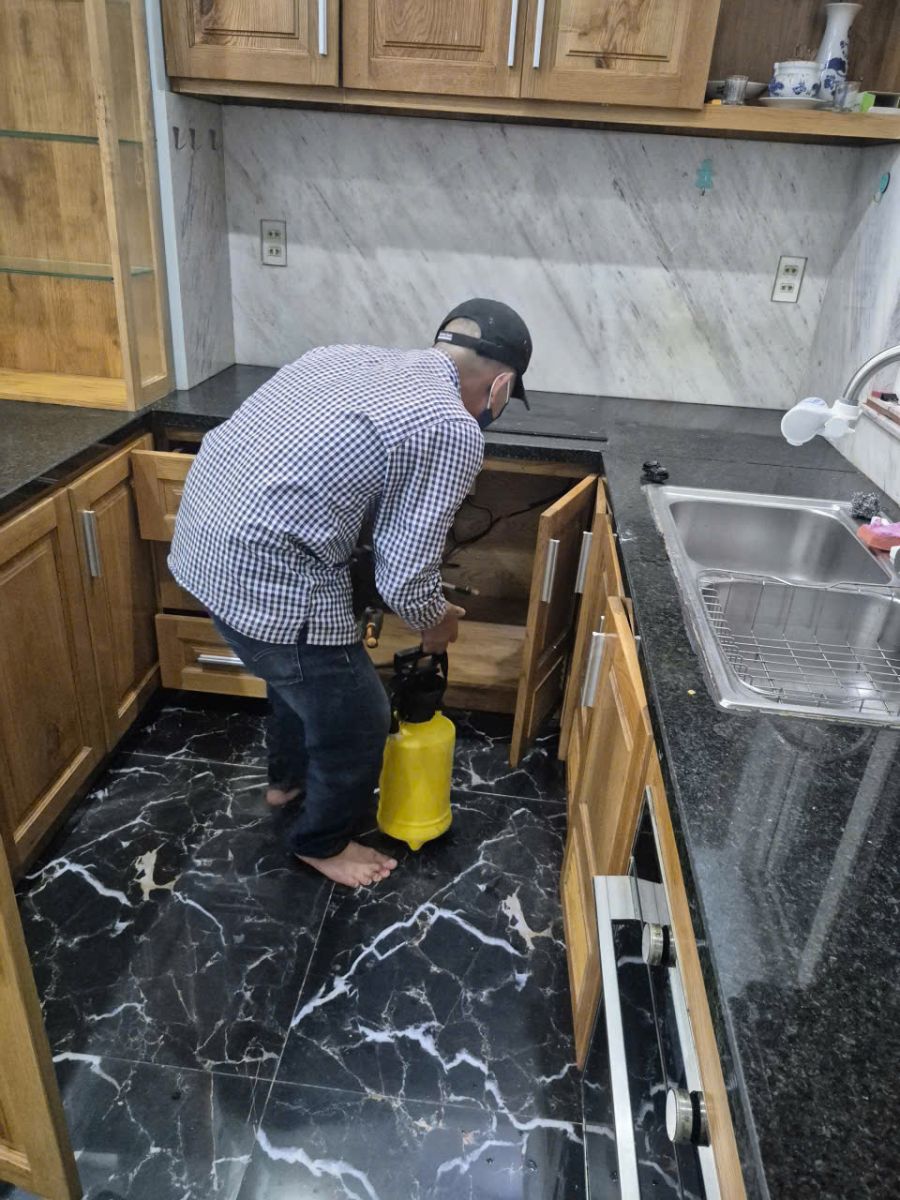 Dịch vụ diệt mối tại nhà Quận 10 của Minh Hiền uy tín luôn có quy trình làm việc rõ ràng, khoa học nhằm đảm bảo hiệu quả tận gốc và an toàn cho khách hàng.