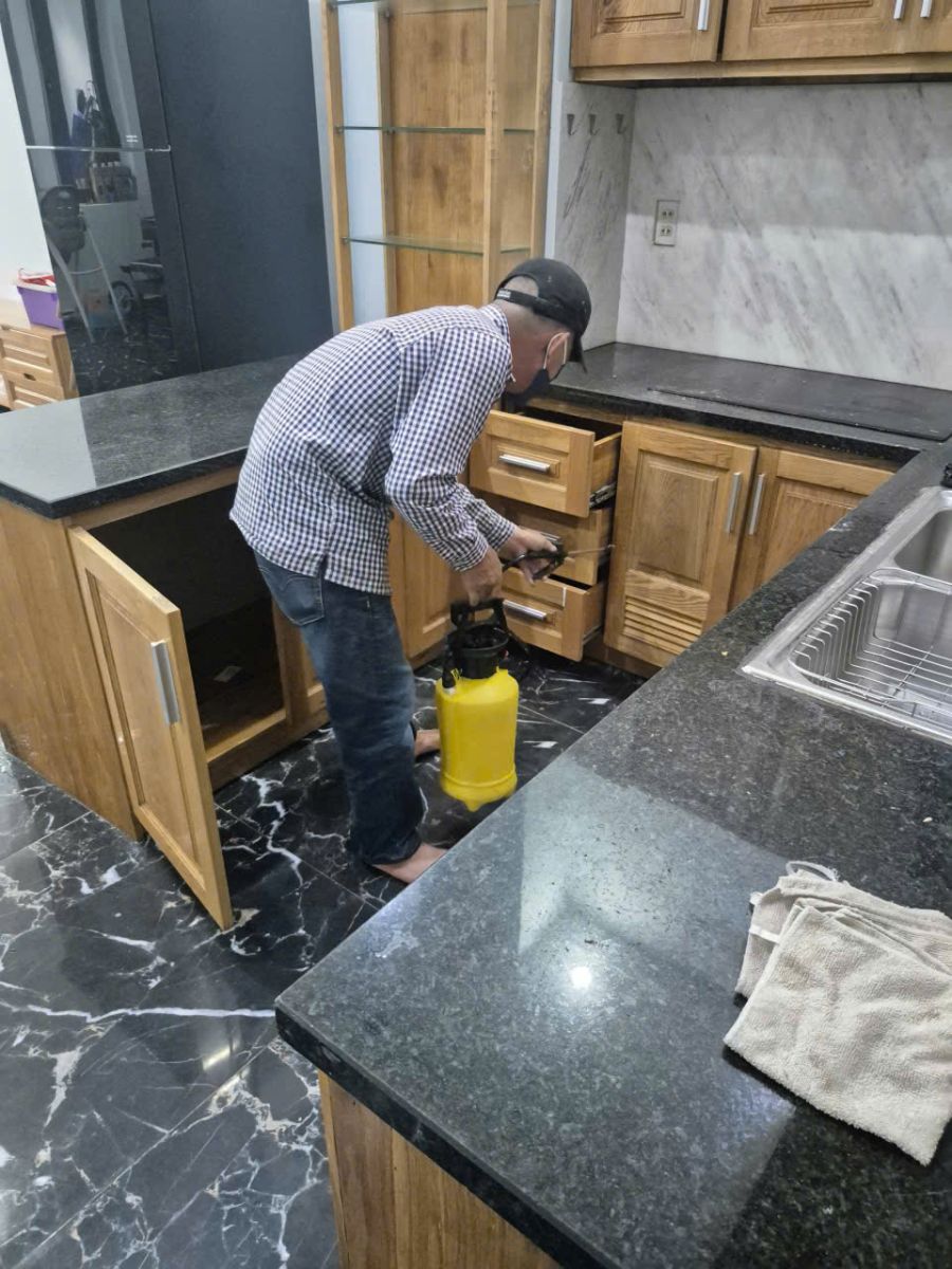 Dịch vụ diệt mối tận gốc tại Quận 10 của Minh Hiền luôn sẵn sàng hỗ trợ bạn 24/7