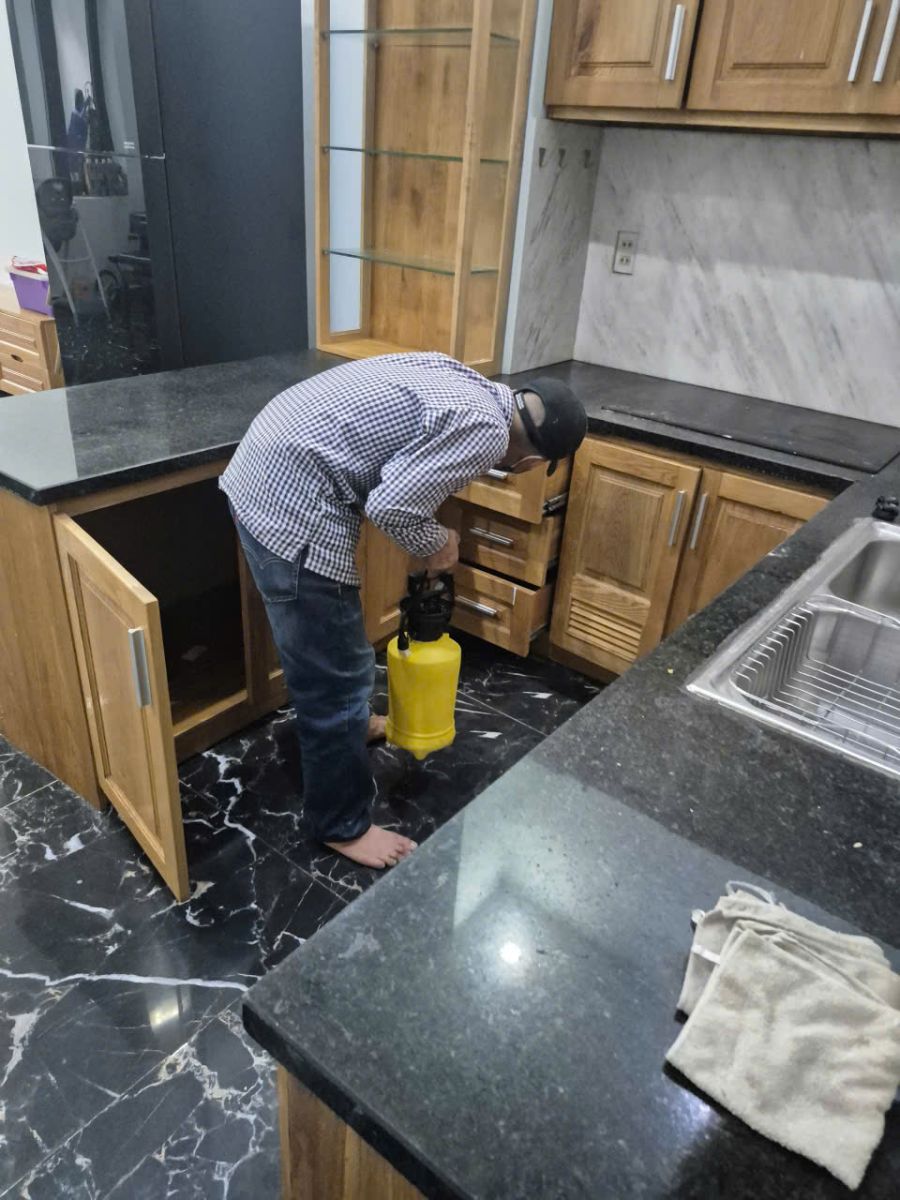 ể xử lý mối mọt tận gốc, người dân cần thuê dịch vụ diệt mối tại nhà Quận 8 chuyên nghiệp thay vì chỉ dùng các mẹo dân gian