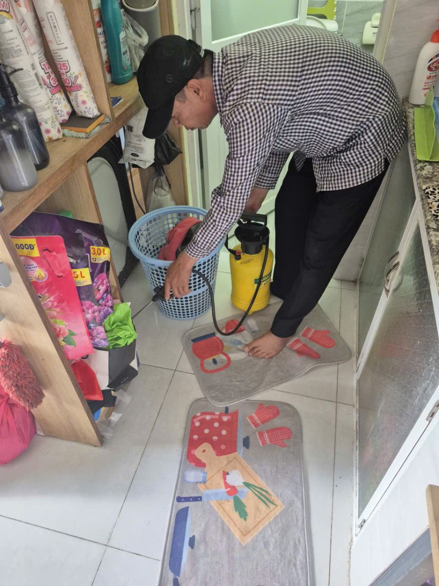 Dịch vụ diệt mối Trà Vinh uy tín – Nhanh chóng, hiệu quả tận gốc