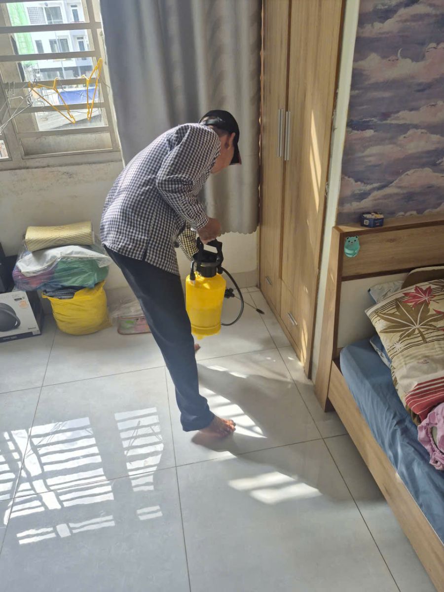 Quy trình diệt mối Trà Vinh đúng kỹ thuật hiệu quả cao