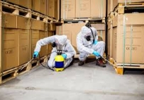 NHỮNG CÁCH DIỆT MỐI ĐƠN GIẢN TẠI NHÀ