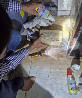 Công ty diệt mối tại Bình Dương chuyên nghiệp, bảo hành dài hạn