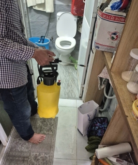 Hướng dẫn lựa chọn dịch vụ diệt mối Cái Răng Cần Thơ uy tín nhất hiện nay