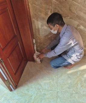 Diệt mối Bến Cầu Tây Ninh tận gốc bằng công nghệ mới – Không đào phá