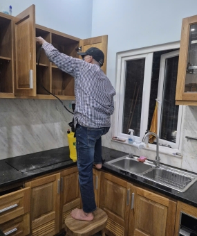 Diệt mối Bình Phước: Nguyên nhân và giải pháp xử lý triệt để