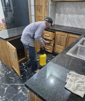 Diệt mối tại TP Tây Ninh: Giải pháp an toàn cho nhà ở và văn phòng