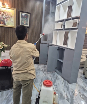 Nhận biết dấu hiệu mối và cách diệt mối Nhà Bè nhanh chóng, đúng kỹ thuật