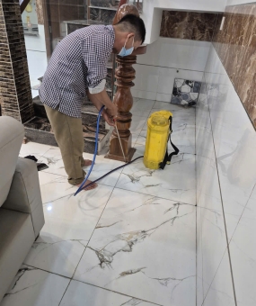 Diệt mối tại quận 9 bằng công nghệ sinh học an toàn