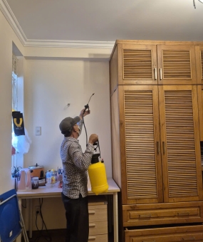 Dịch Vụ Diệt Mối Tại Nhà Quận 7 Uy Tín – Hiệu Quả Tận Gốc | Minh Hiền