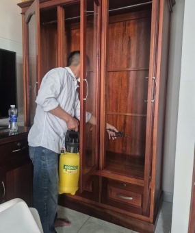 Diệt Mối Nhà Ở Hiệu Quả Tại Trần Thị Trọng Phường Tân Sơn TP.HCM