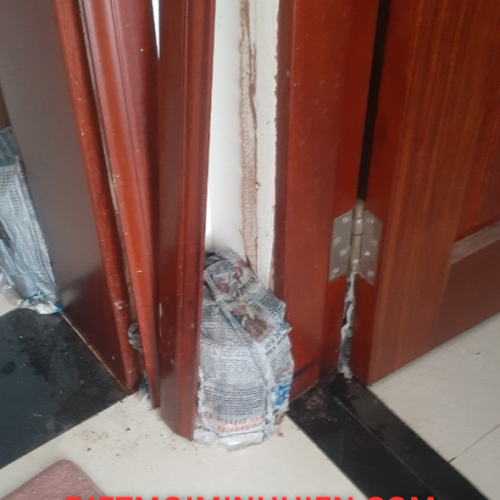 DIỆT MỐI HÓA SINH