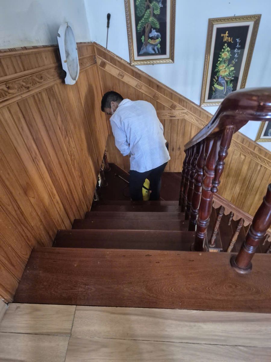 Dịch vụ diệt mối tại nhà Quận 2