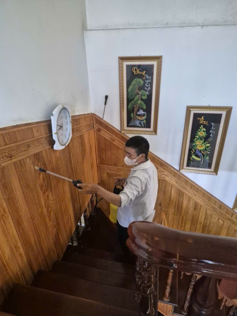 Dịch vụ diệt mối tại nhà Quận 2