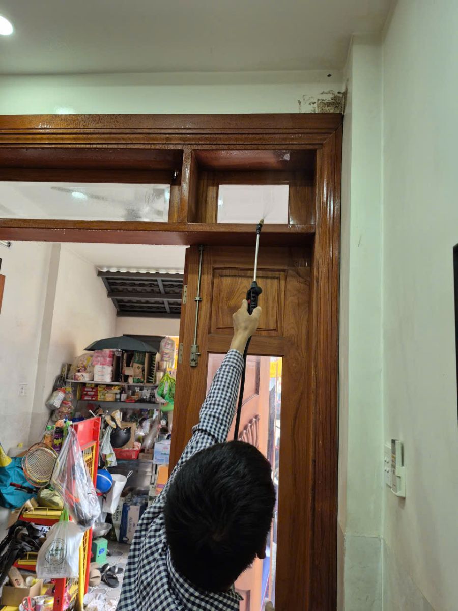 Quy trình diệt mối tại Hòa Thành của Minh Hiền an toàn – hiệu quả