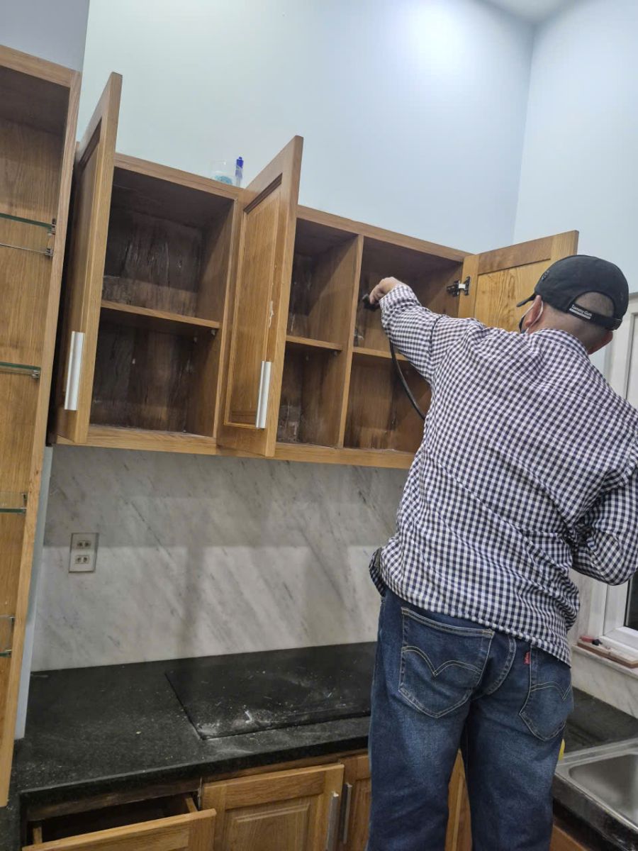 Diệt mối tại TP Tây Ninh: Giải pháp an toàn cho nhà ở và văn phòng