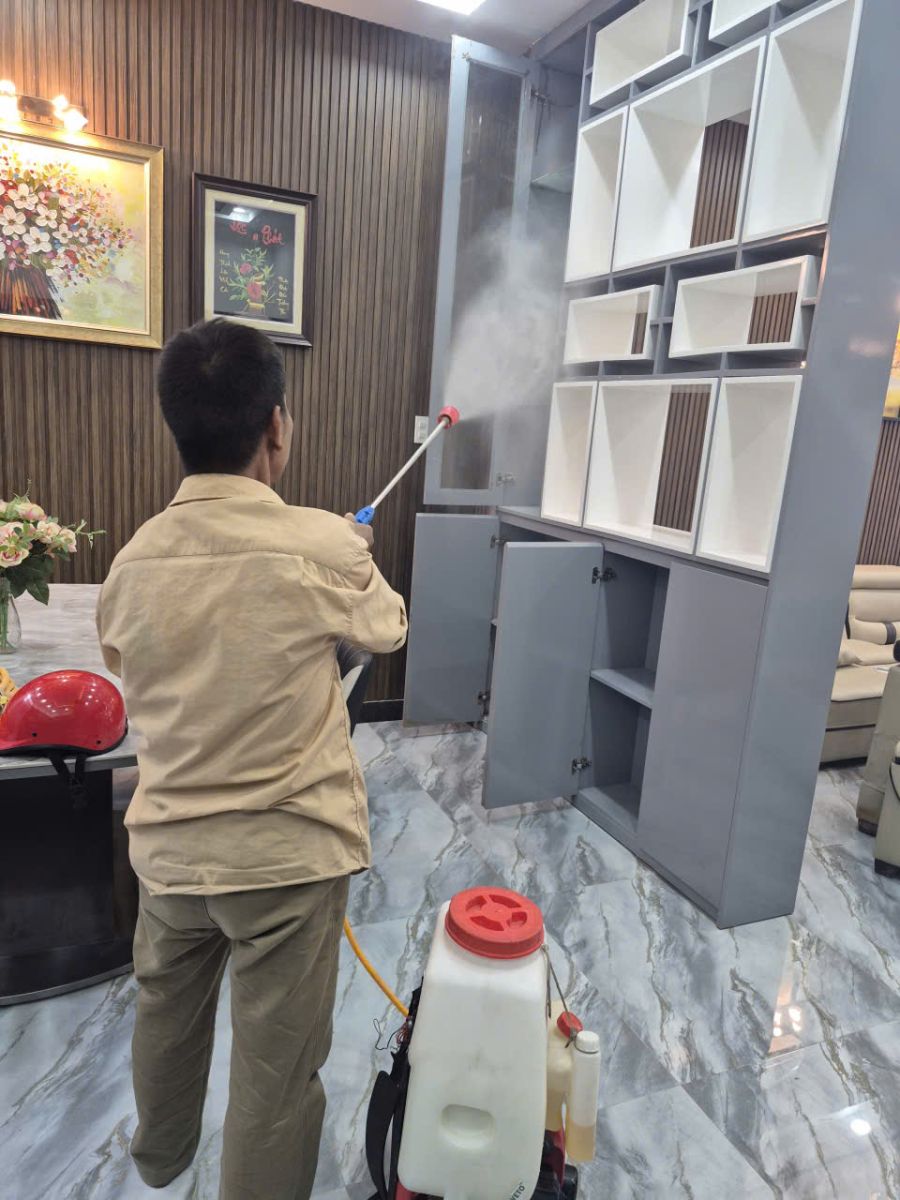 Đơn vị diệt mối Cần Thơ chuyên nghiệp tập trung tiêu diệt mối chúa