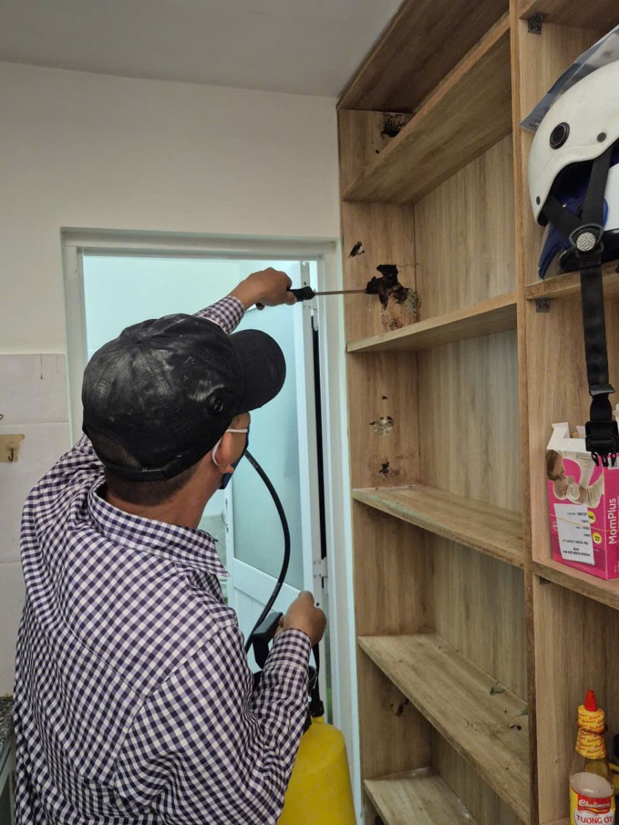 Dịch vụ diệt mối Cái Răng Cần Thơ chuyên nghiệp mang lại những lợi ích vượt trội 