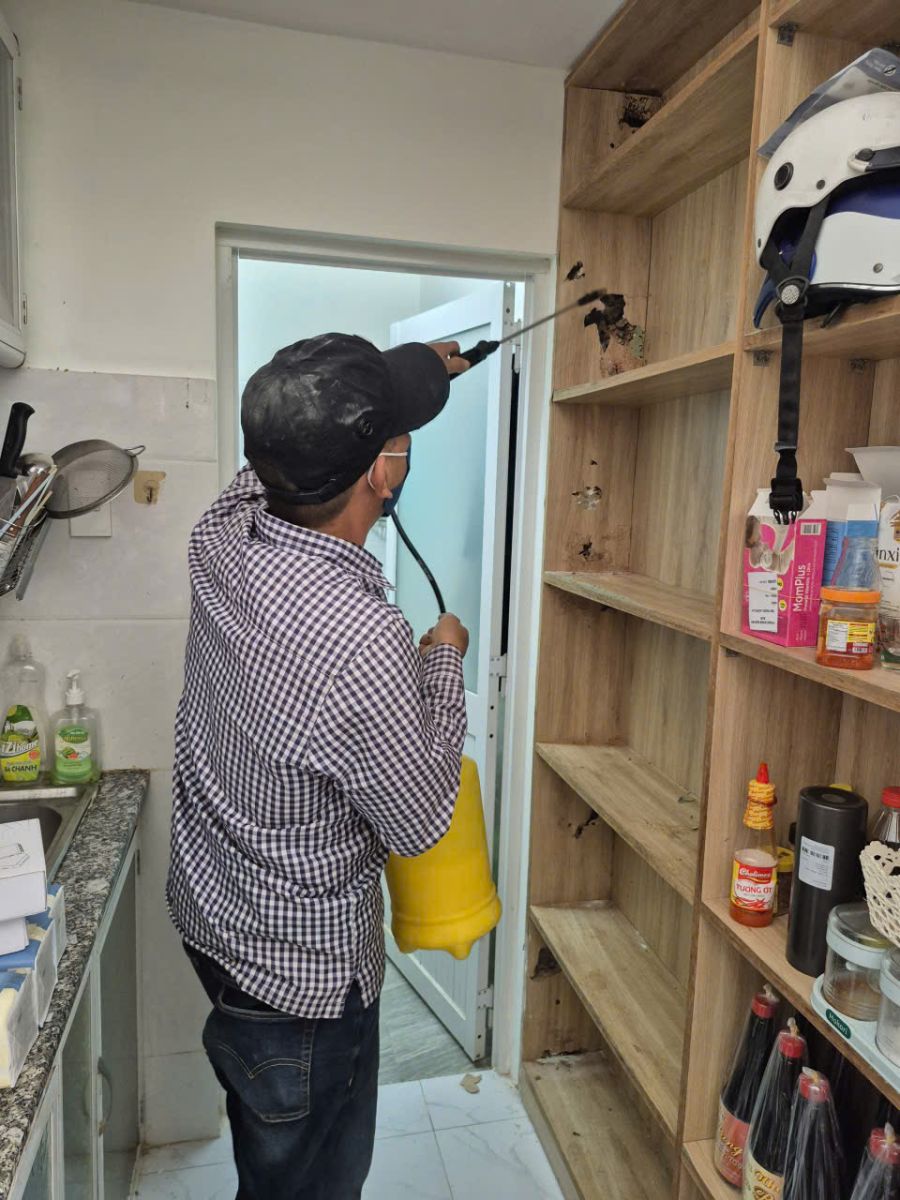 Minh Hiền là đơn vị diệt mối tận gốc tại Vũng Tàu được nhiều khách hàng tin tưởng lựa chọn