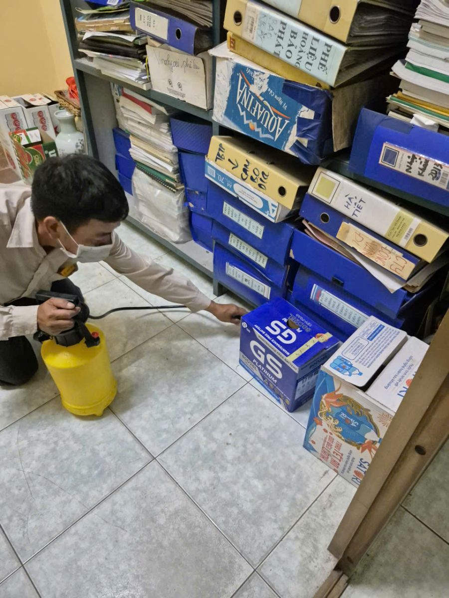 Hướng dẫn lựa chọn dịch vụ diệt mối Cái Răng Cần Thơ uy tín nhất hiện nay