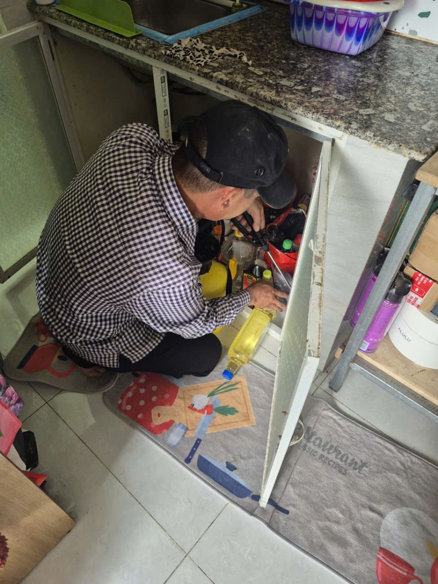 Dịch vụ diệt mối Trà Vinh tại nhà an toàn cho trẻ nhỏ & vật nuôi là giải pháp cần thiết.