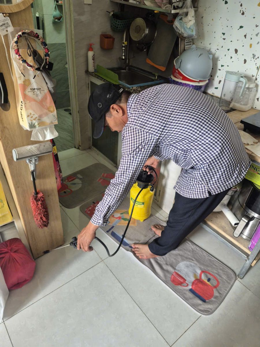 Minh Hiền cung cấp dịch vụ diệt mối tại Cần Thơ trọn gói uy tín