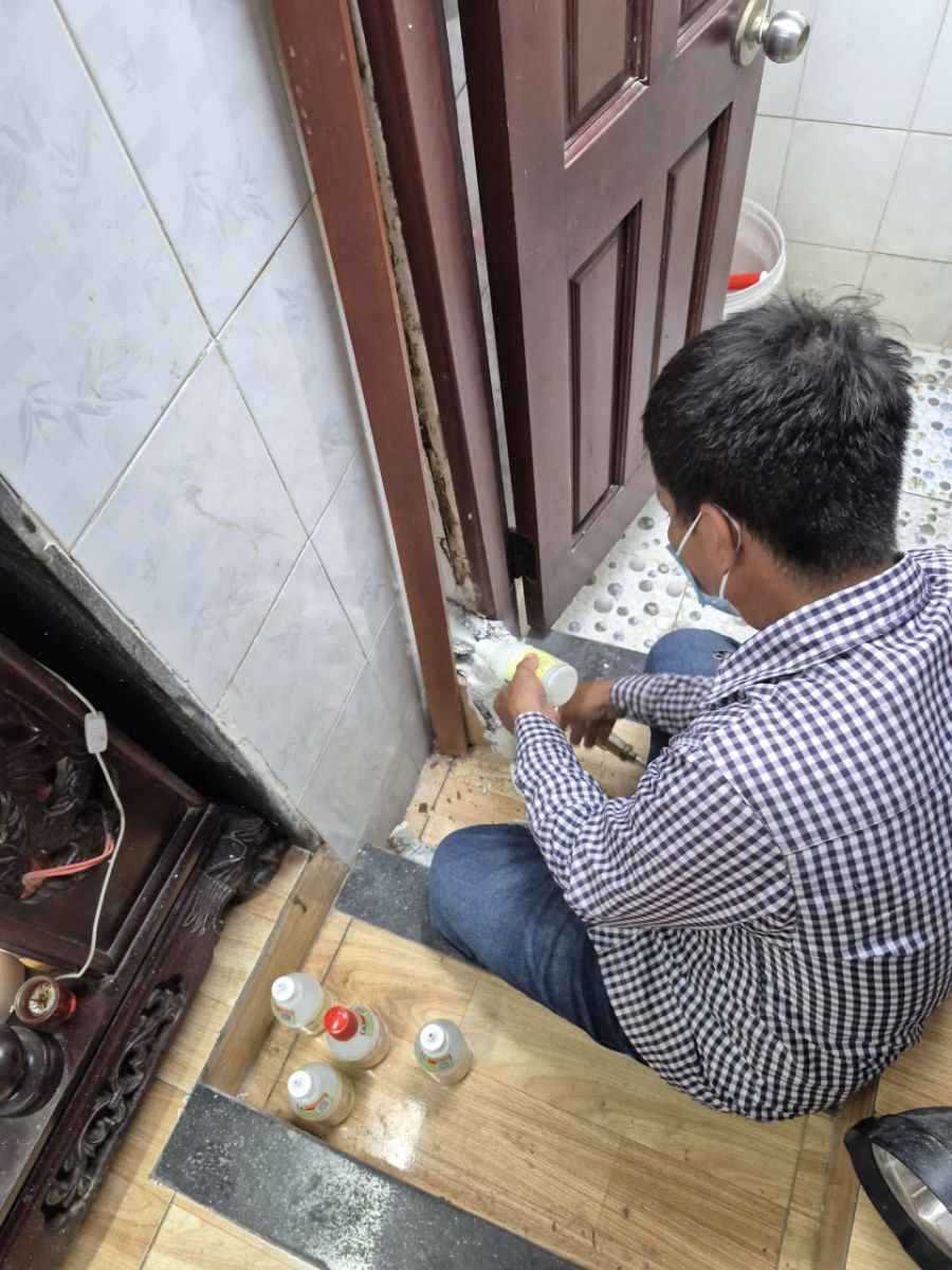 Minh hiền cung cấp dịch vụ diệt mối tại Tây Ninh uy tín