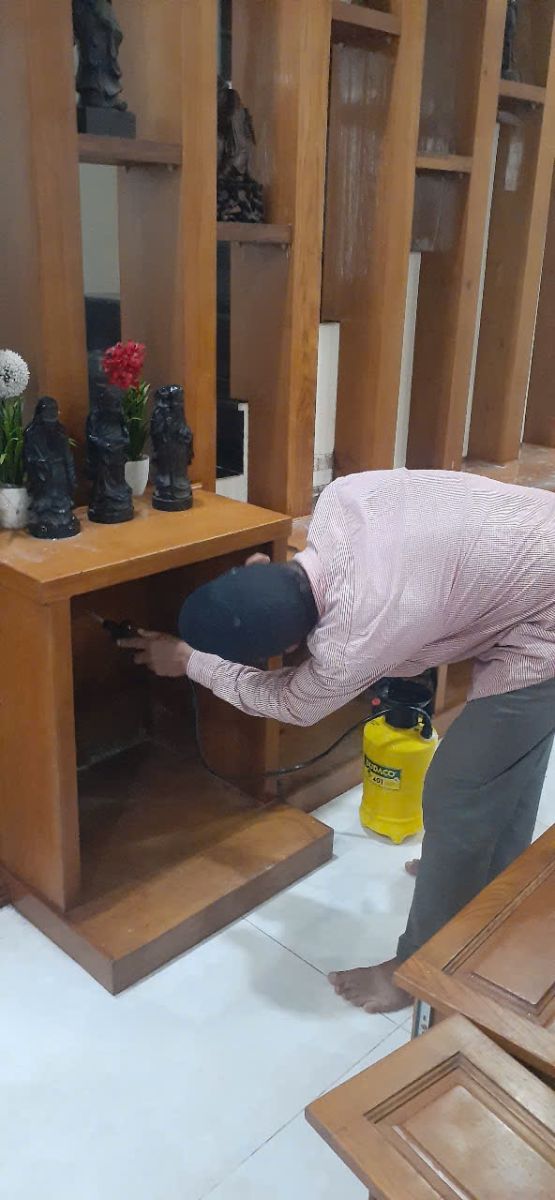 Diệt mối tận gốc Bình Dương đúng nghĩa là phải tiêu diệt toàn bộ tổ mối