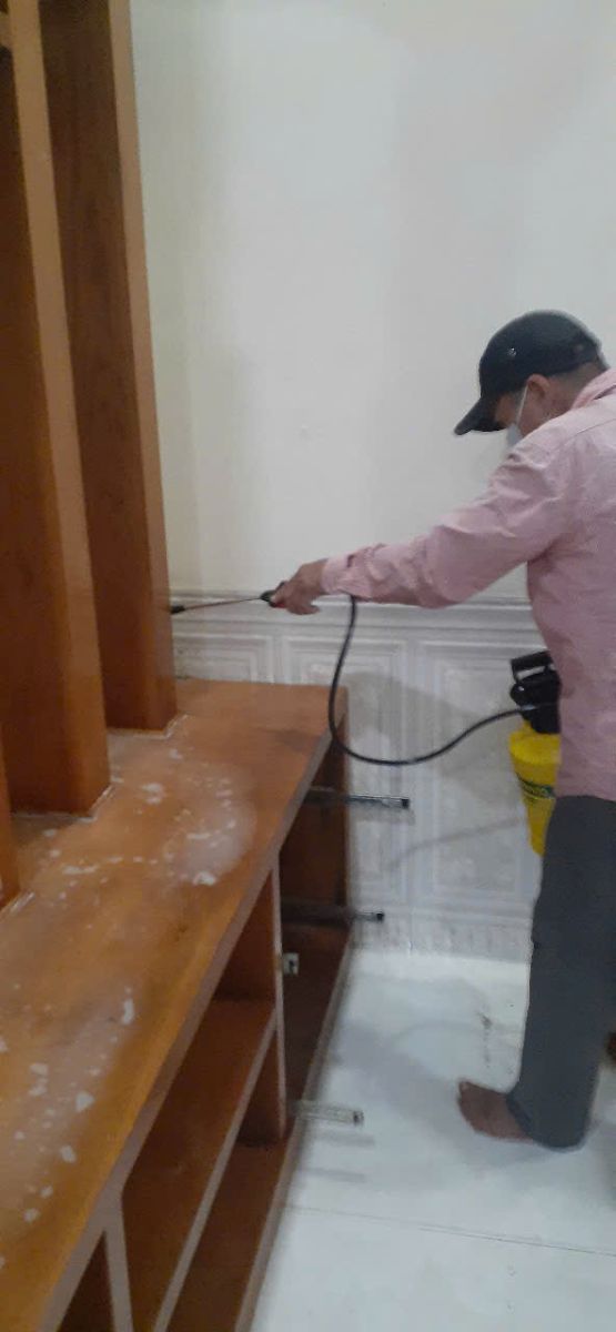 Diệt mối Trà Vinh tại nhà an toàn cho trẻ nhỏ & vật nuôi